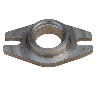 Pump Gland